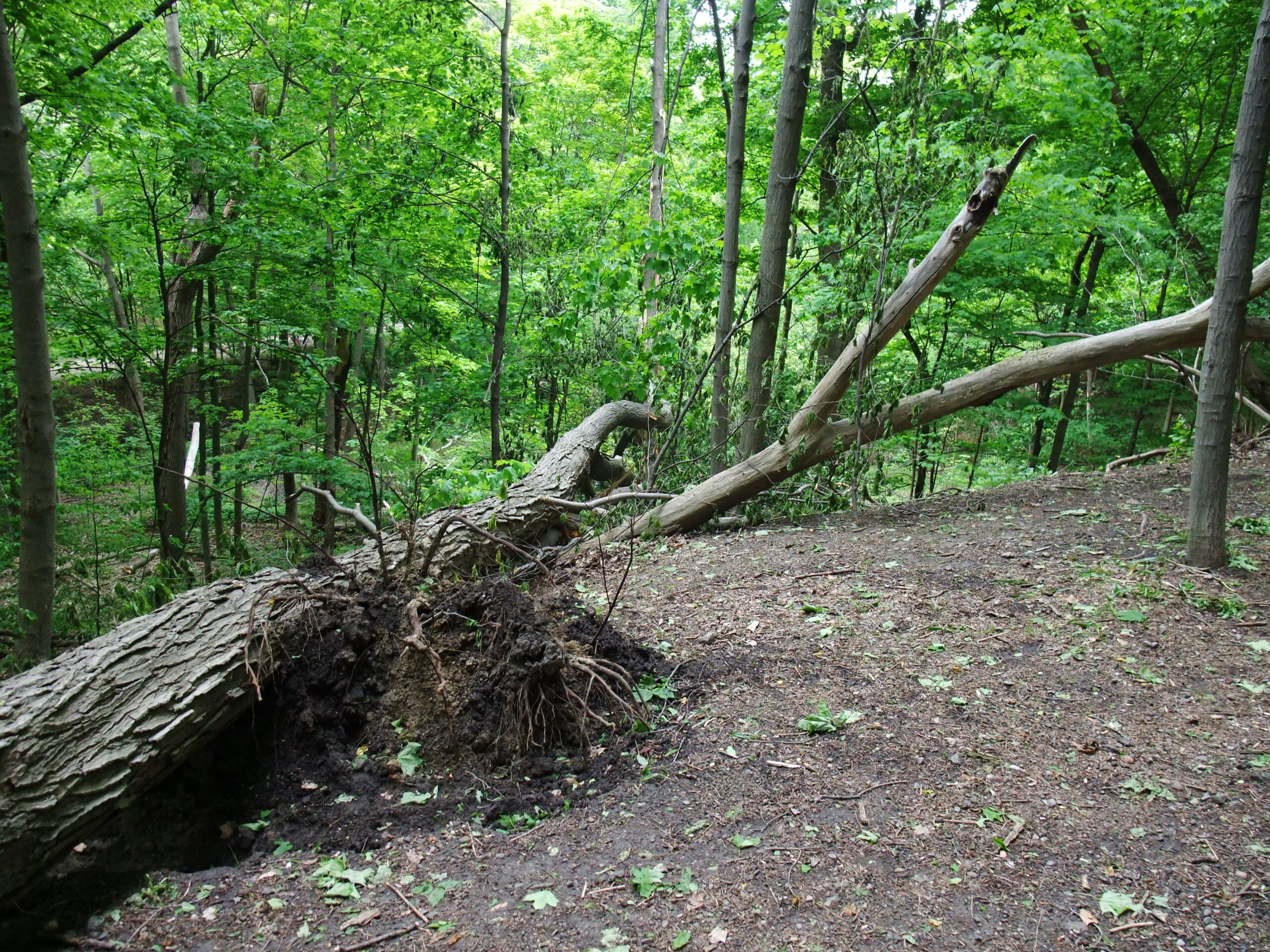 15th May (Saturday): (Half-)Day on the Bike…