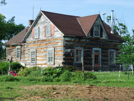 11th-21st June: WWOOFing on Alpenblick Farm, Ashton