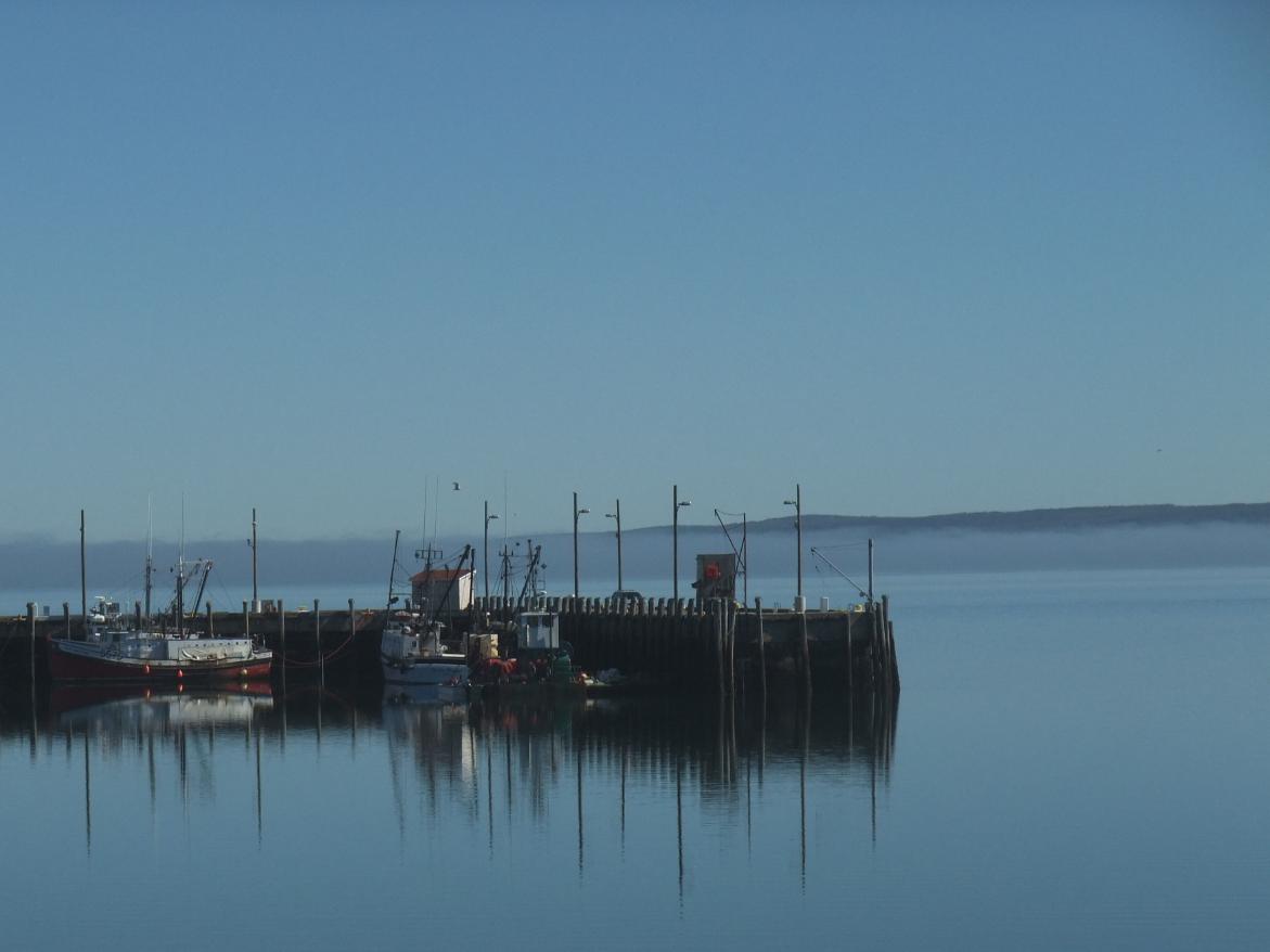 28th August – 09th October: Digby: Home sweet home