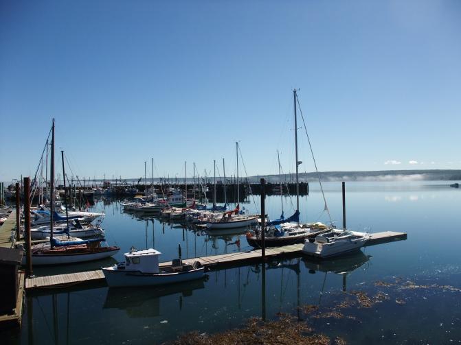 24th September – 20th October: Digby Highlights