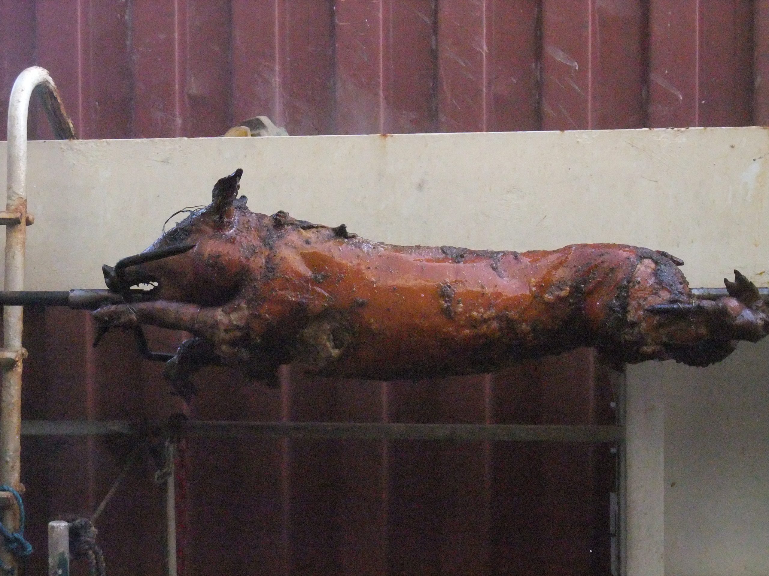 Day 17: BBQ #2 – Roasting of a suckling pig!!!