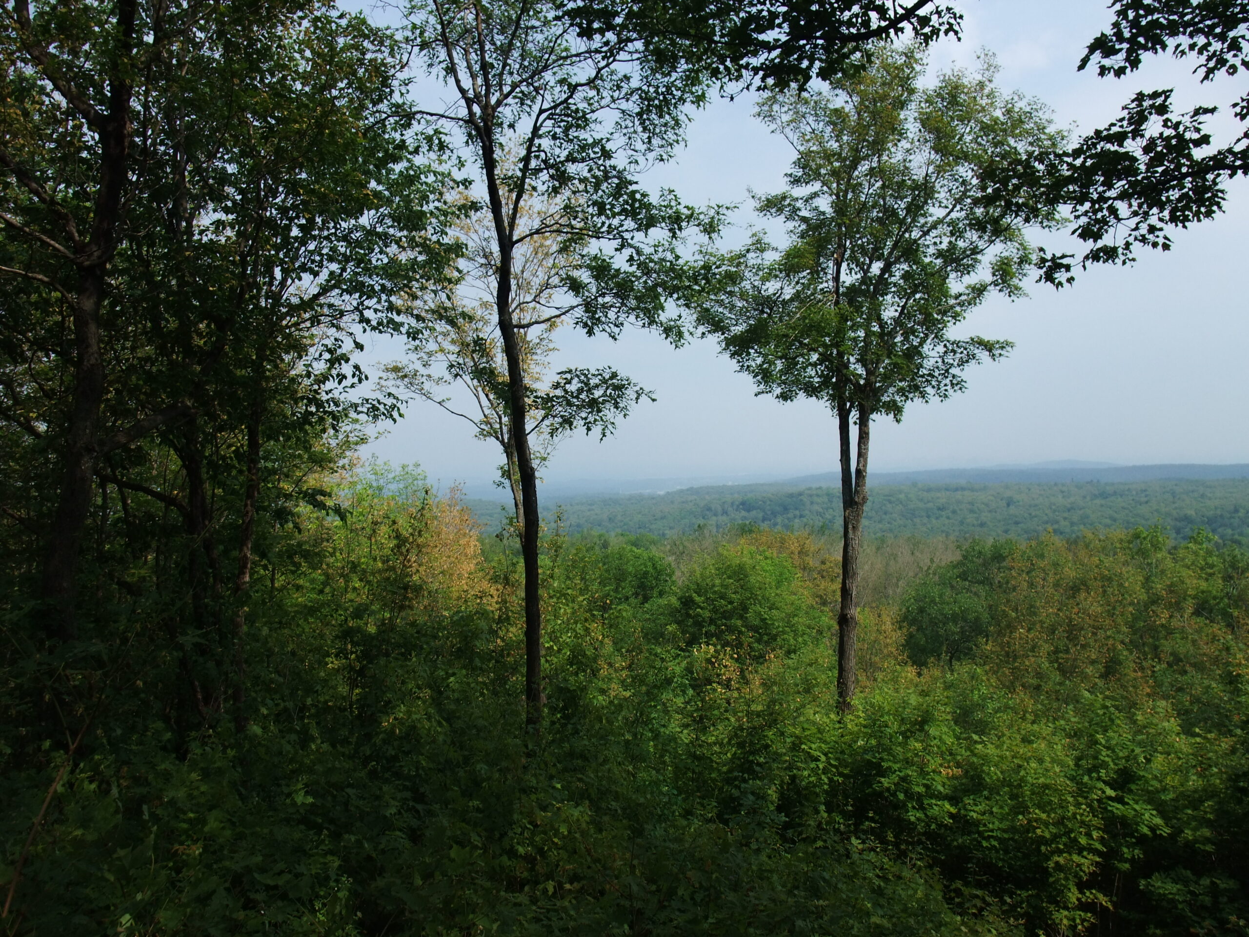 Monday, 31st May: Mountainbiking in Parc Gatineau
