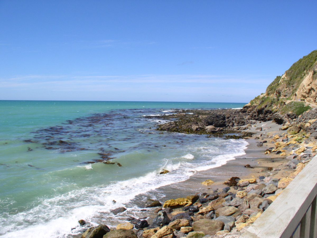 Oamaru beach