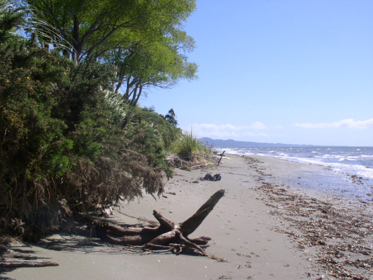 Beautiful beaches and almost no humans