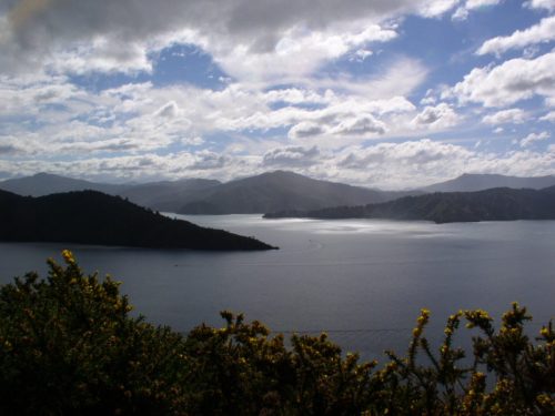 Picton