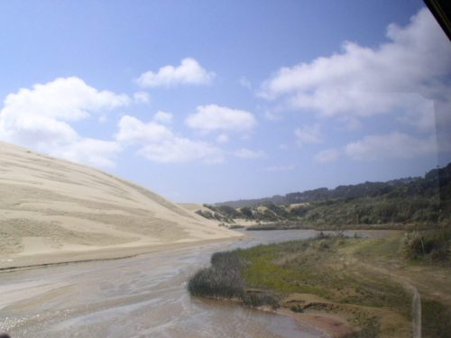 Cape Reinga & 90 mile beach